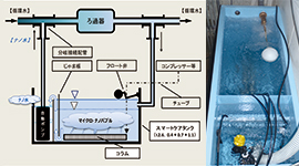 東北ボーリング株式会社